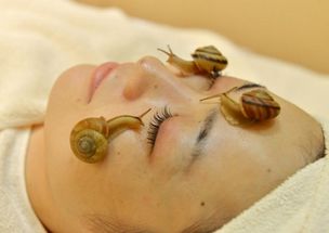 实拍韩国另类美容院,蜗牛在脸上爬五分钟需要600元